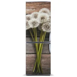 naklejka-magnes-magnes-bukiet-dmuchawcow-60x180