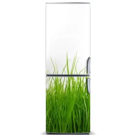 naklejka-magnes-magnes-zielona-trawa-60x180