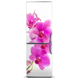 naklejka-magnes-magnes-rozowa-orchidea-60x180