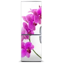 naklejka-magnes-magnes-rozowa-orchidea-60x180