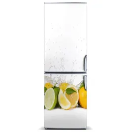 naklejka-na-lodowke-do-domu-magnes-cytrusy-60x180