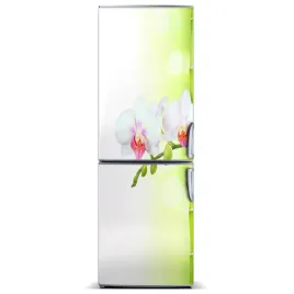 naklejka-magnes-magnes-orchidea-i-bambus-60x180