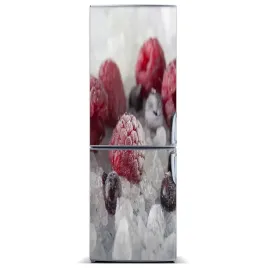 fototapeta-magnesowa-na-lodowke-mrozone-owoce