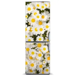 naklejka-magnes-magnes-kwiaty-stokrotki-60x180