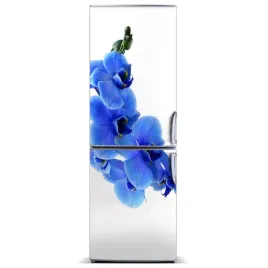 naklejka-magnes-magnes-niebieska-orchidea-60x180