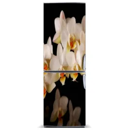 naklejka-magnes-magnes-na-lodowke-orchidea-60x180