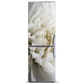 naklejka-magnetyczna-magnes-biala-dalia-60x180