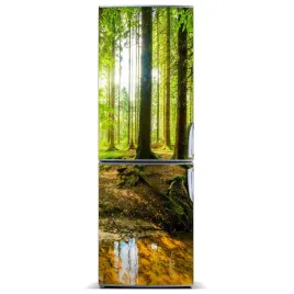 mata-magnetyczna-na-lodowke-slonce-w-lesie-60x180