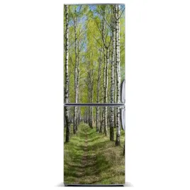 magnes-na-lodowke-magnetyczna-las-brzozowy-60x180