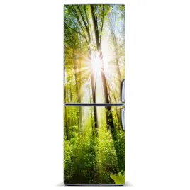 mata-magnetyczna-na-lodowke-slonce-w-lesie-60x180