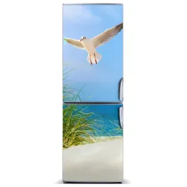magnes-na-lodowke-mewa-nad-wydmami-60x180