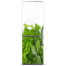 naklejka-na-lodowke-do-domu-magnes-ziola-60x180