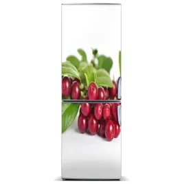 naklejka-na-lodowke-do-domu-magnes-borowka-60x180