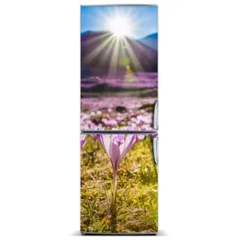 magnes-na-lodowke-krokusy-w-gorach-60x180