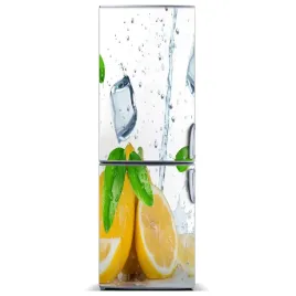 fototapeta-magnesowa-na-lodowke-cytryna-i-lod