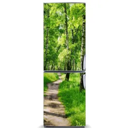 magnes-fototapeta-na-lodowke-las-brzozowy-60x180