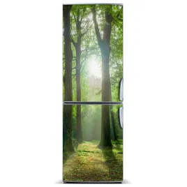 magnes-tapeta-na-lodowke-slonce-w-lesie-60x180