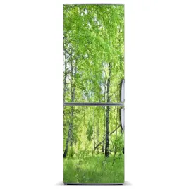 magnes-fototapeta-na-lodowke-las-brzozowy-60x180