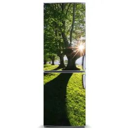 magnes-tapeta-na-lodowke-krajobrazy-park-60x180