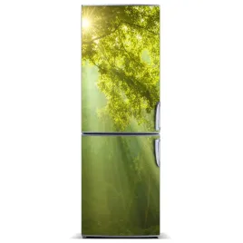 naklejka-tapeta-na-lodowke-slonce-w-lesie-60x180