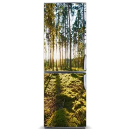 naklejka-fototapeta-na-lodowke-las-sosnowy-60x180
