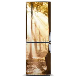 magnes-na-lodowke-magnetyczna-las-jesienia-60x180