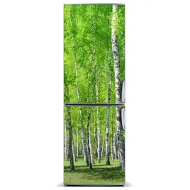 magnes-na-lodowke-magnetyczna-las-brzozowy-60x180