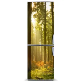 magnes-na-lodowke-krajobrazy-piekny-las-60x180