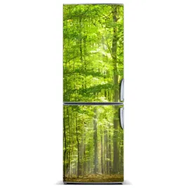 magnes-na-lodowke-krajobrazy-las-bukowy-60x180