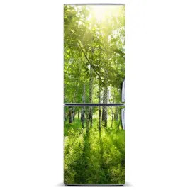 magnes-fototapeta-na-lodowke-las-brzozowy-60x180