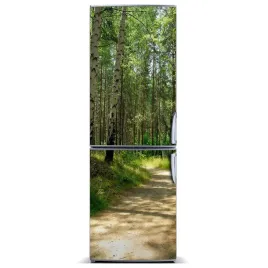 magnes-fototapeta-na-lodowke-las-brzozowy-60x180