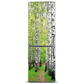 magnes-fototapeta-na-lodowke-las-brzozowy-60x180