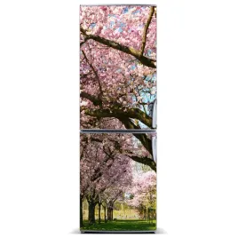 magnes-fototapeta-na-lodowke-drzewa-wisni-60x180