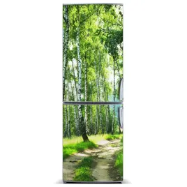 naklejka-fototapeta-na-lodowke-las-brzozowy-60x180