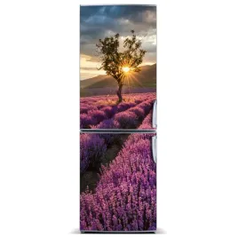 naklejka-fototapeta-na-lodowke-pole-lawendy-60x180