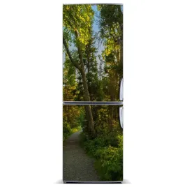 magnes-tapeta-na-lodowke-sciezka-w-lesie-60x180