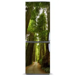 magnes-tapeta-na-lodowke-sciezka-w-lesie-60x180