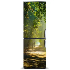magnetyczna-mata-na-lodowke-sciezka-w-lesie-60x180