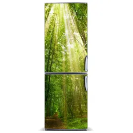 magnetyczna-mata-na-lodowke-sciezka-w-lesie-60x180