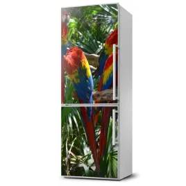 mata-magnetyczna-na-lodowke-papugi-ary-60x180