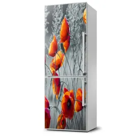 mata-magnetyczna-na-lodowke-polne-maki-60x180