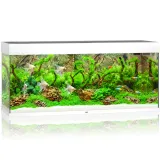 akwarium-juwel-rio-240-led-biale