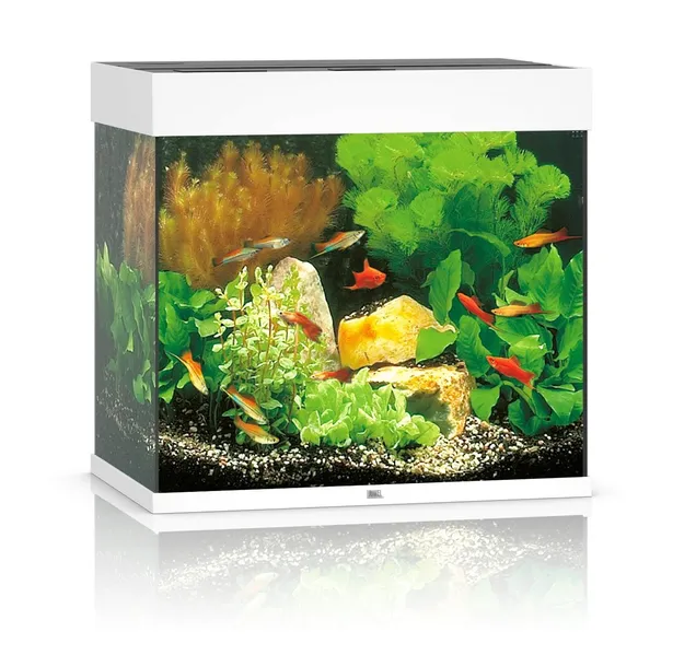 akwarium-juwel-lido-120-led-biale