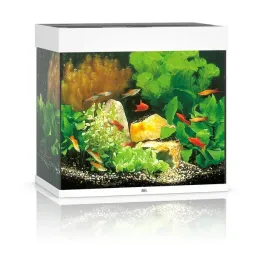 akwarium-juwel-lido-120-led-biale