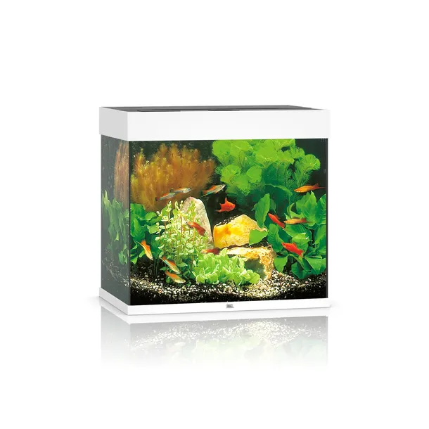 akwarium-juwel-lido-120-led-biale-kod-producenta-01-11450-stan-nowy