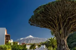 fototapeta-lateks-na-wymiar-drzewo-gory