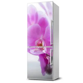 foto-magnes-tapeta-na-lodowke-rozowa-orchidea-xl