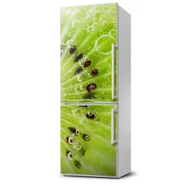 magnes-na-lodowke-do-domu-magnetyczna-kiwi-60x180
