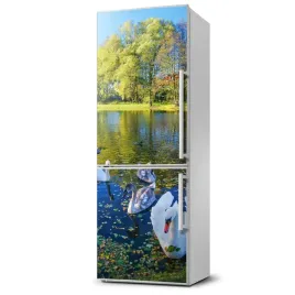 foto-magnes-na-lodowke-labedzie-na-stawie-xl
