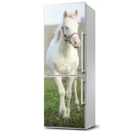 foto-magnes-na-lodowke-kon-albinos-60x180